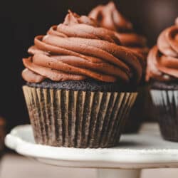 Chocolate cupcakes frosted with chocolate cream cheese frosting.