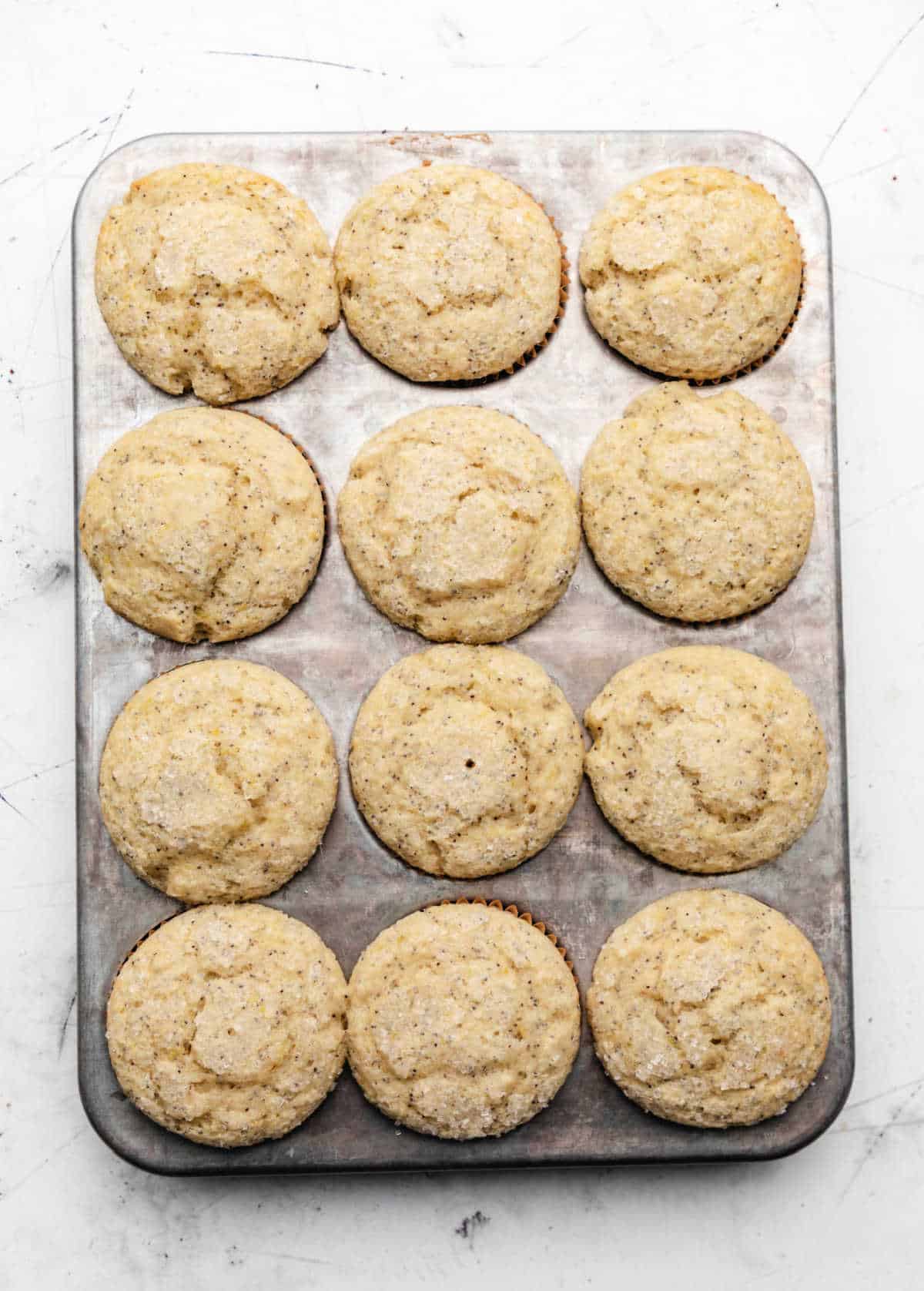 Baked lemon poppy seed muffins in a muffin tin.