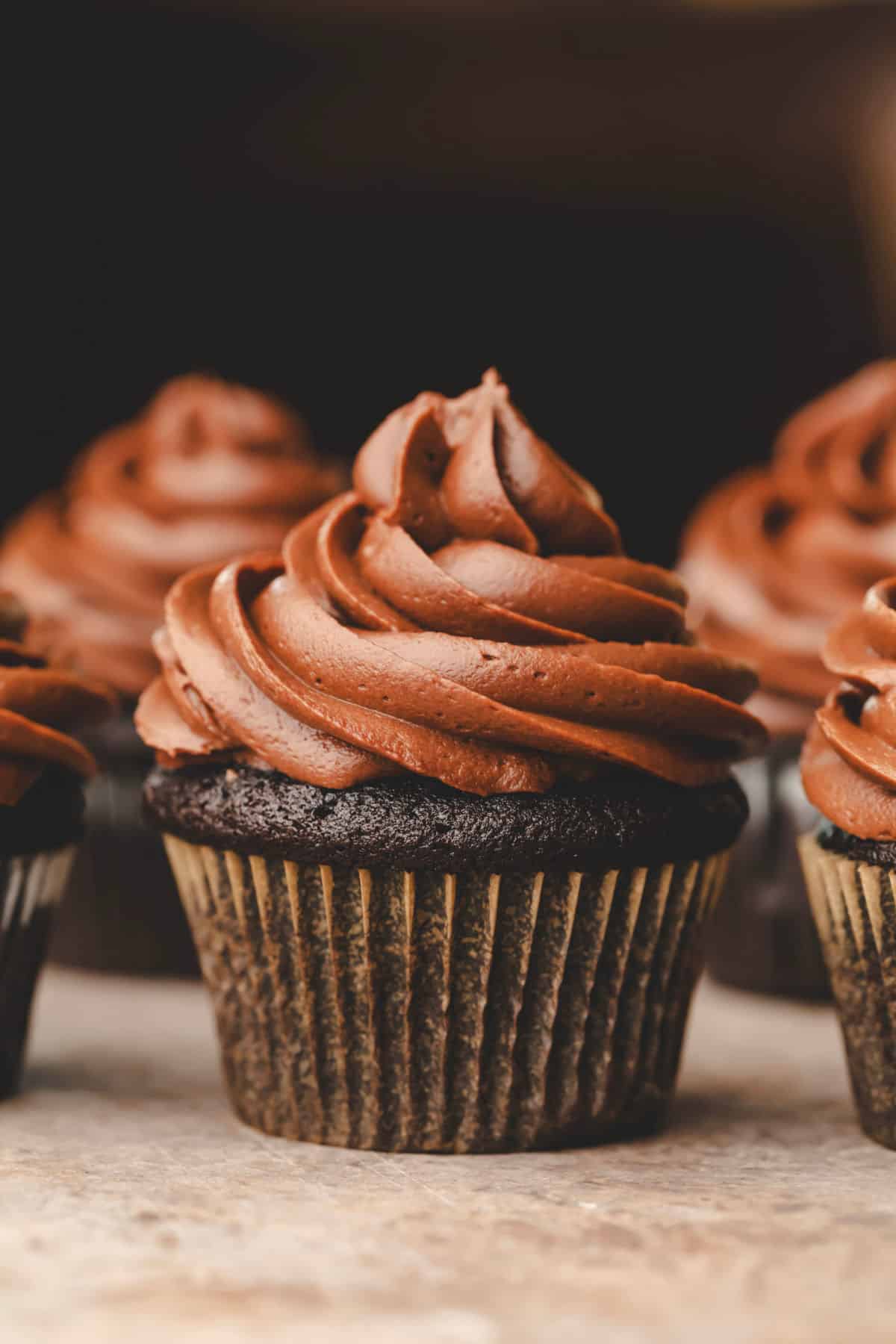 A chocolate cupcake with a swirl of chocolate frosting.