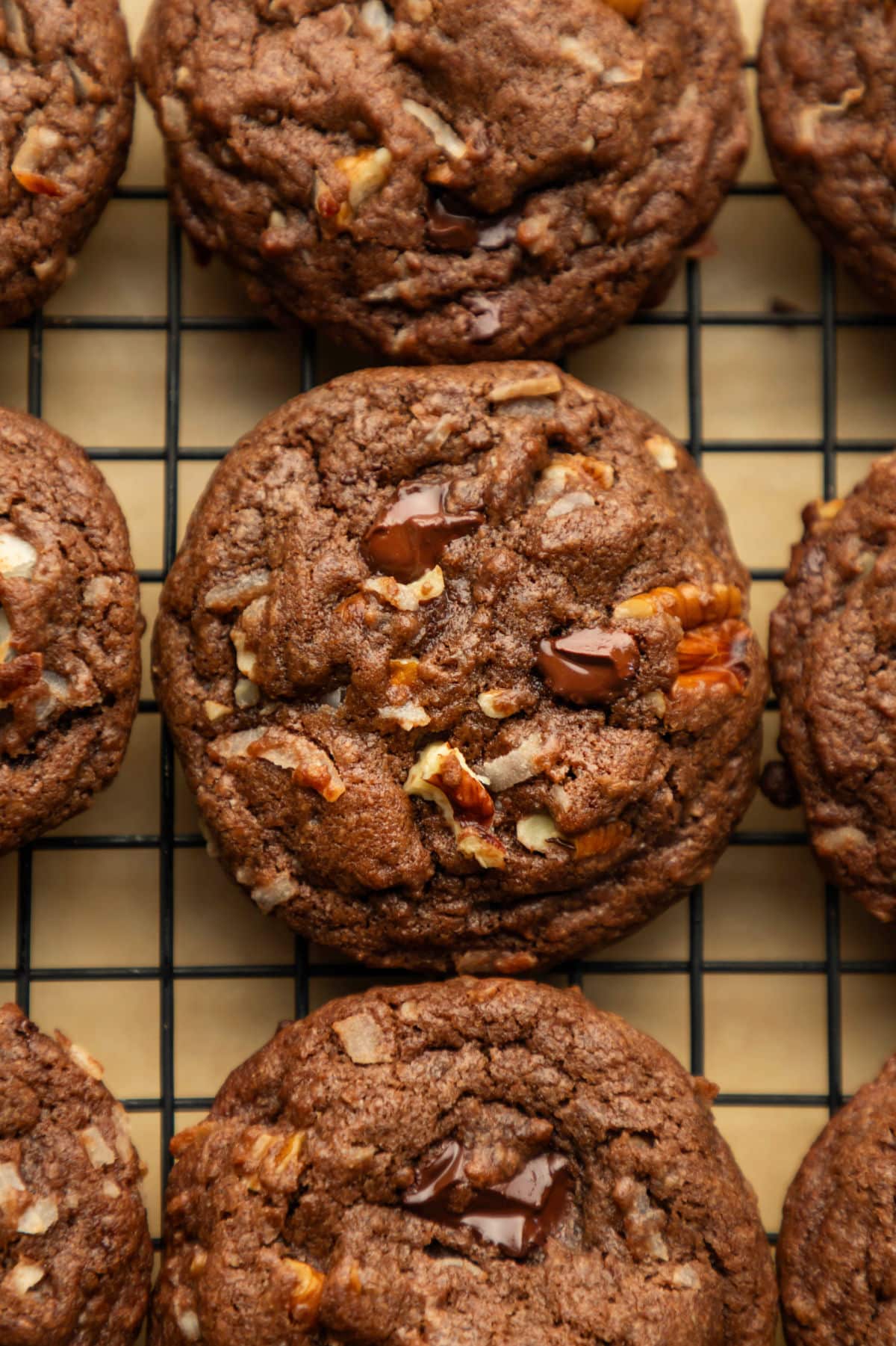 A row of German chocolate cookies on a black wire cooling rack.