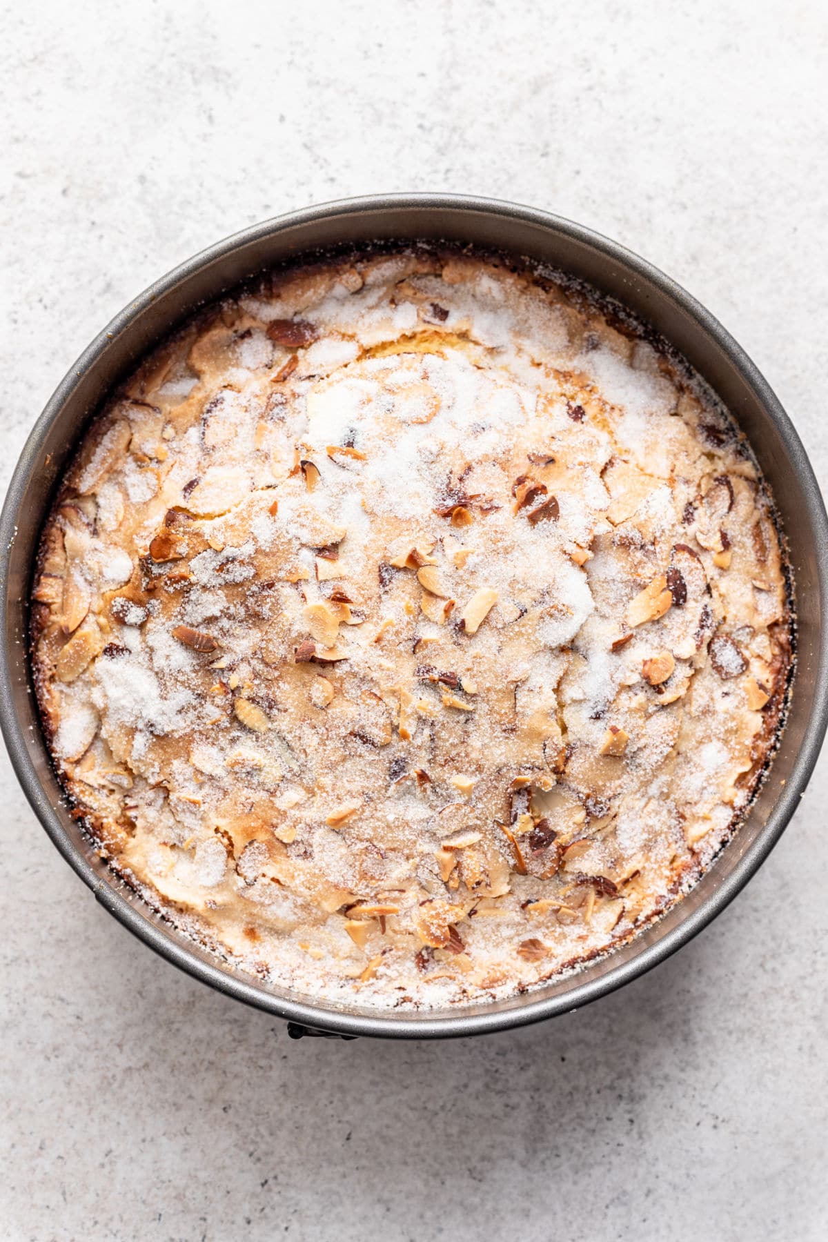 Baked olive oil cake in a springform pan.