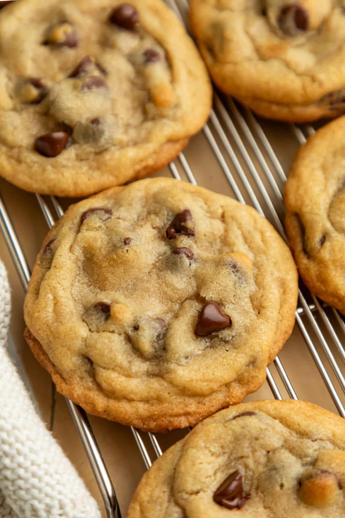 Rows of bakery style chocolate chip cookies at an angle.
