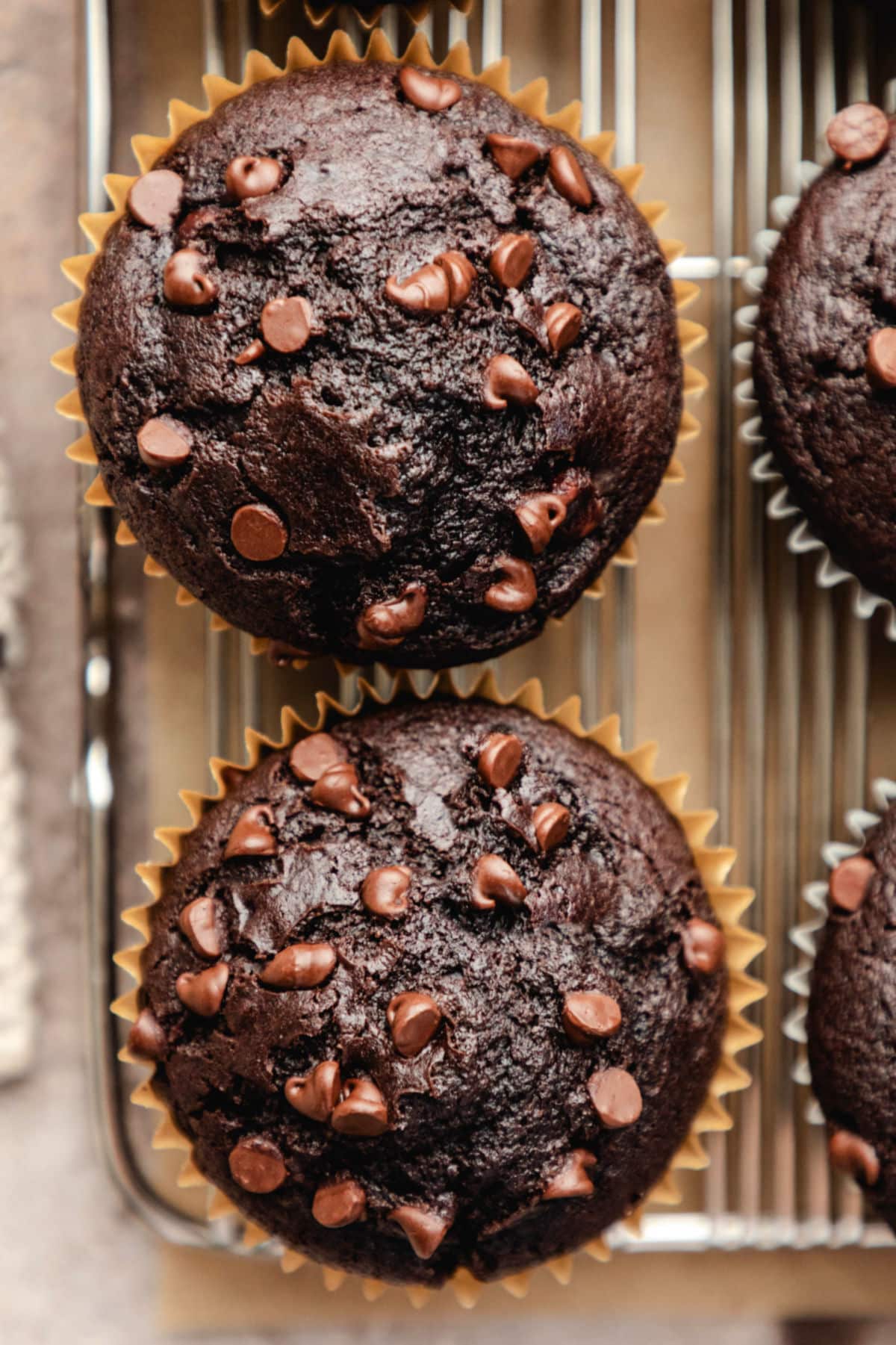 Overhead view of chocolate chocolate chip muffins on brown parchment paper. 