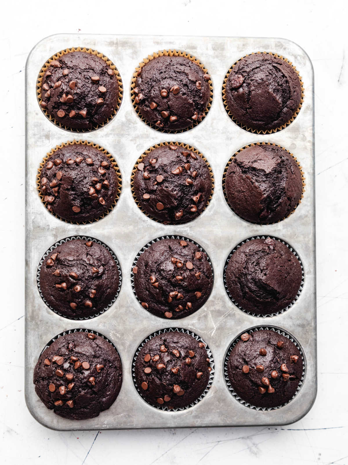 Baked double chocolate chip muffins in a muffin tin. 