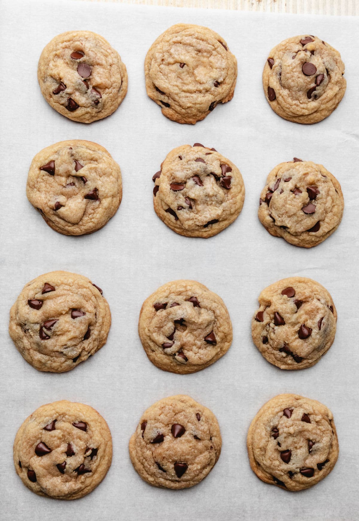 A dozen baked chocolate chip cookies on parchment paper. 