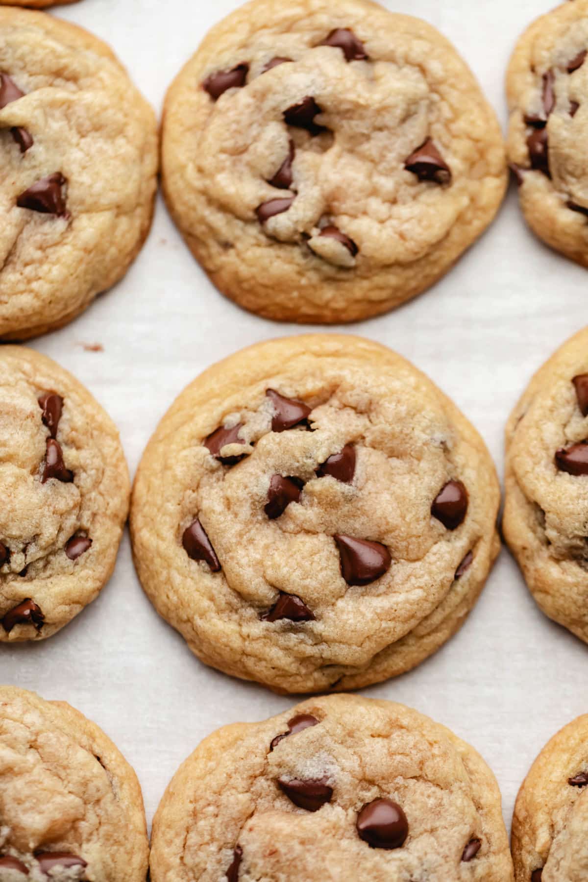 Three rows of chocolate chip cookies on a piece of white parchment paper.