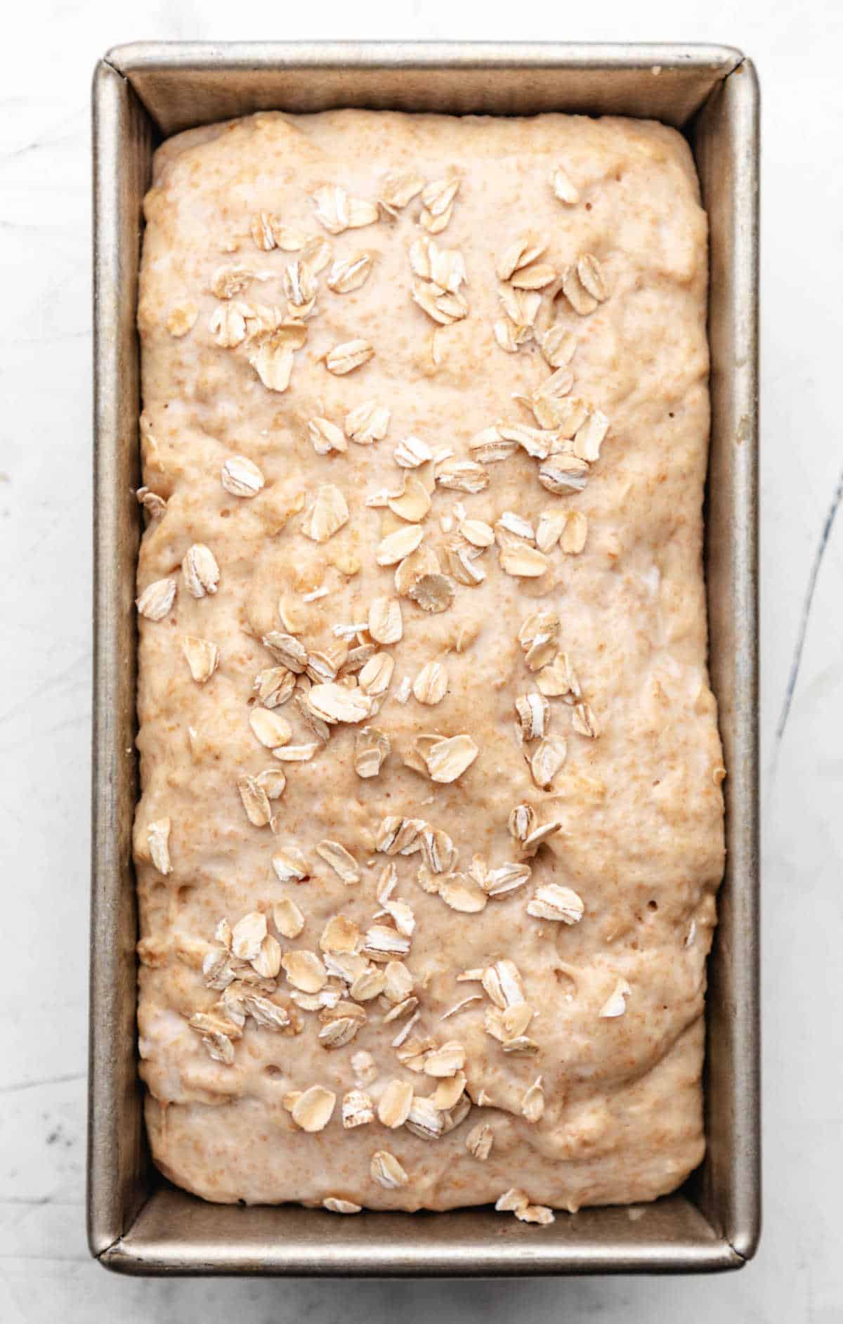 Honey oat bread dough in a pan topped with oats. 