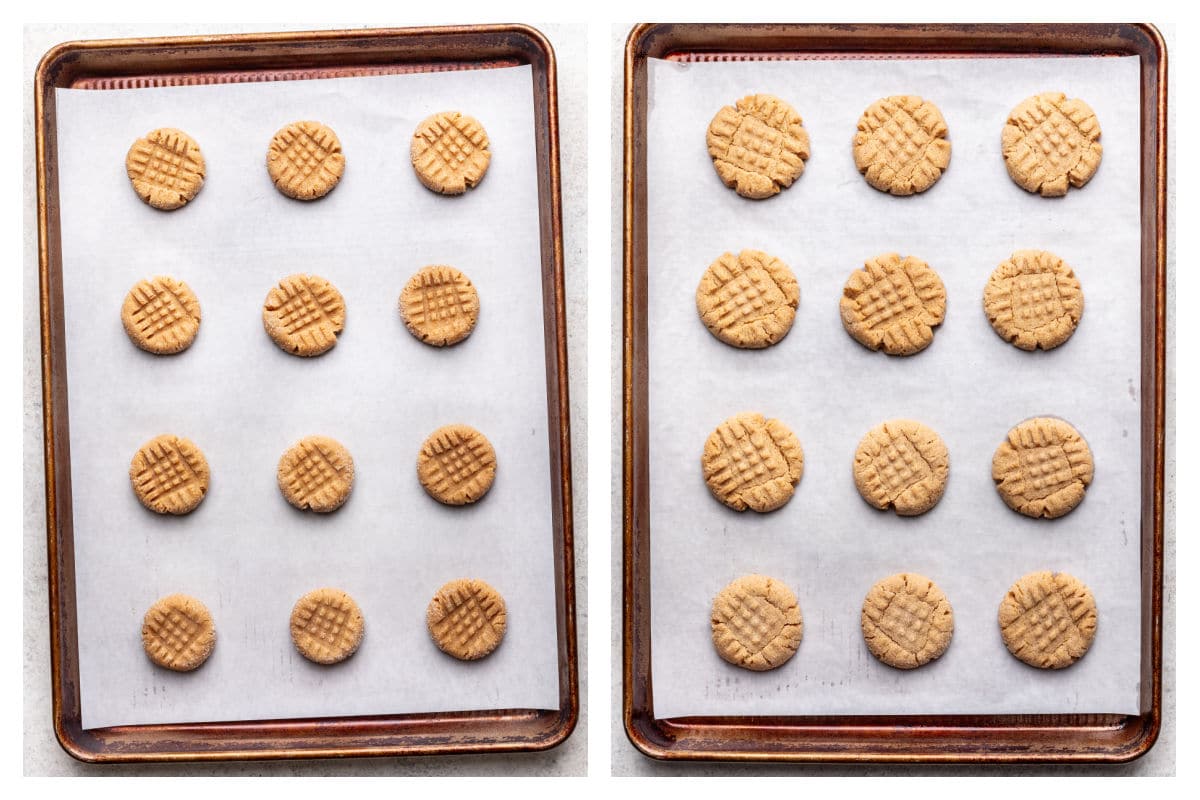 Cross hatched dough ball on a baking sheet next to baked peanut butter cookies on a baking sheet.