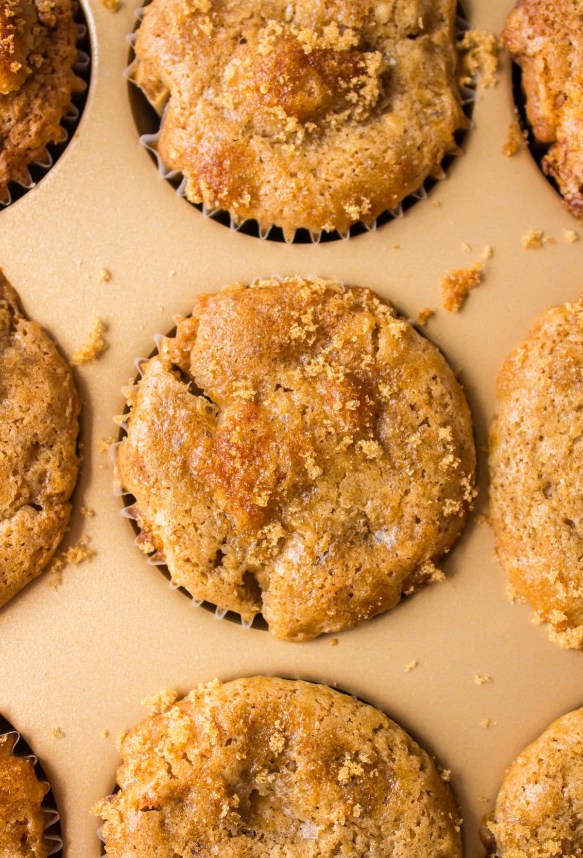 Baked apple muffins in a muffin tin.