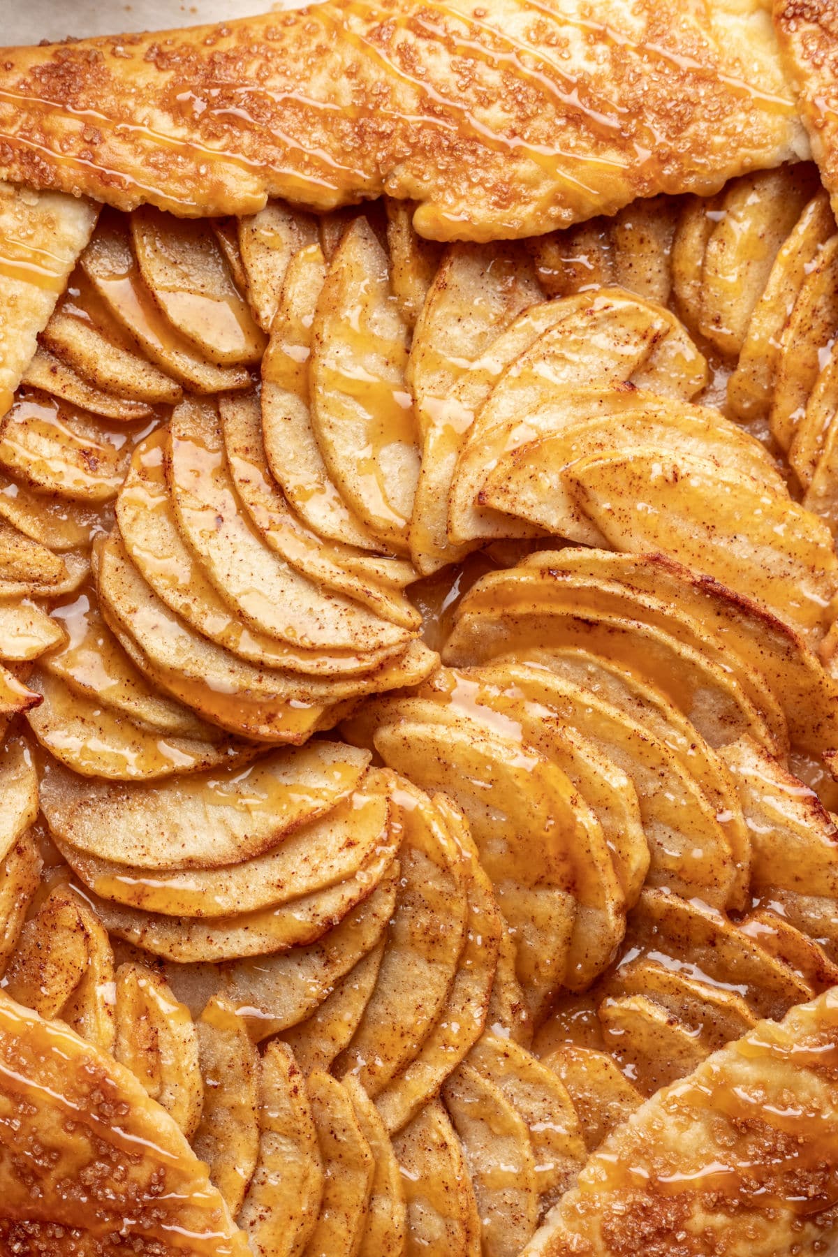 Apple slices in the middle of an apple galette.