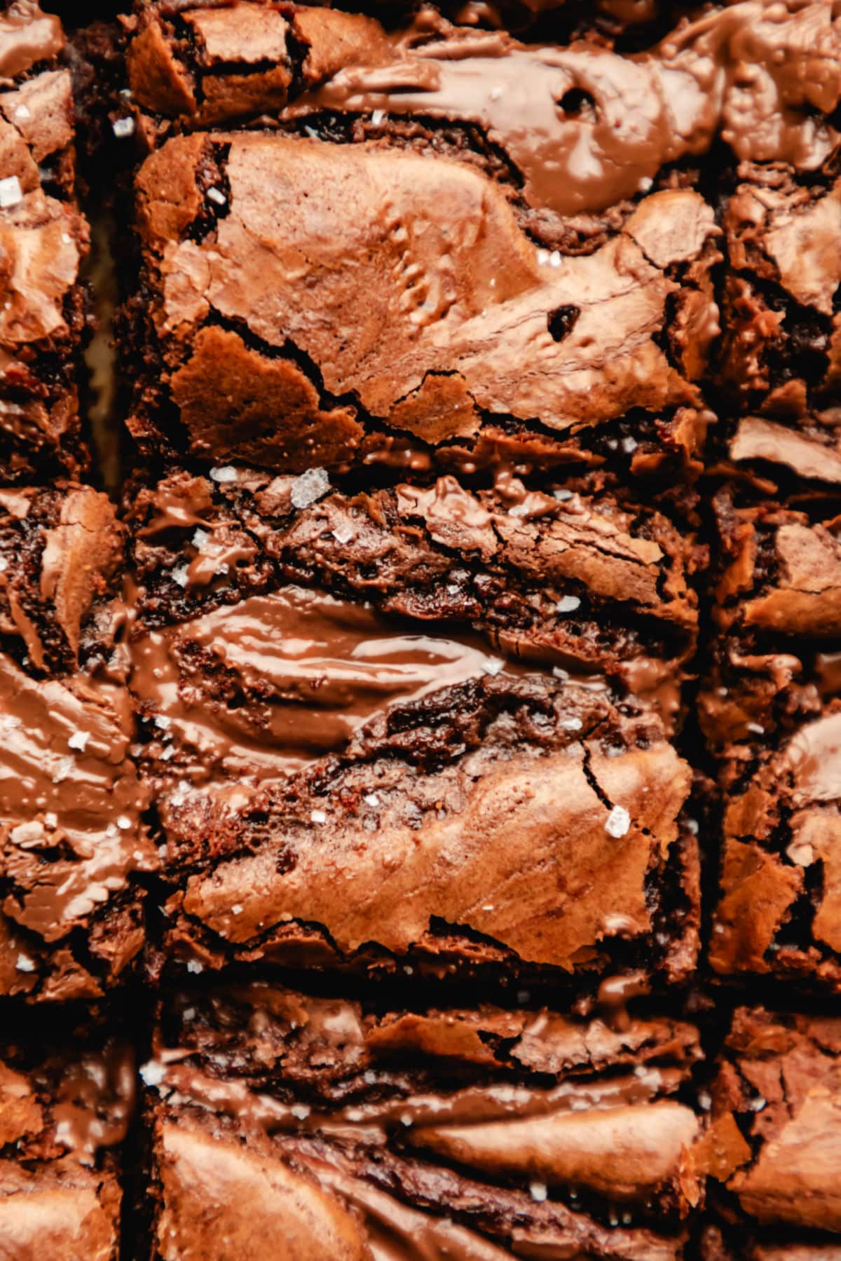 Nutella brownie topped with a sprinkle of flaky salt.