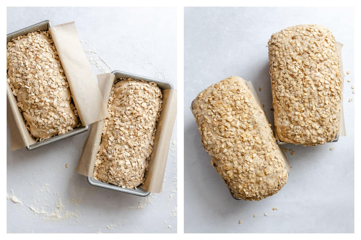 Oats on top of multigrain bread dough next to two loaves of risen multigrain bread.