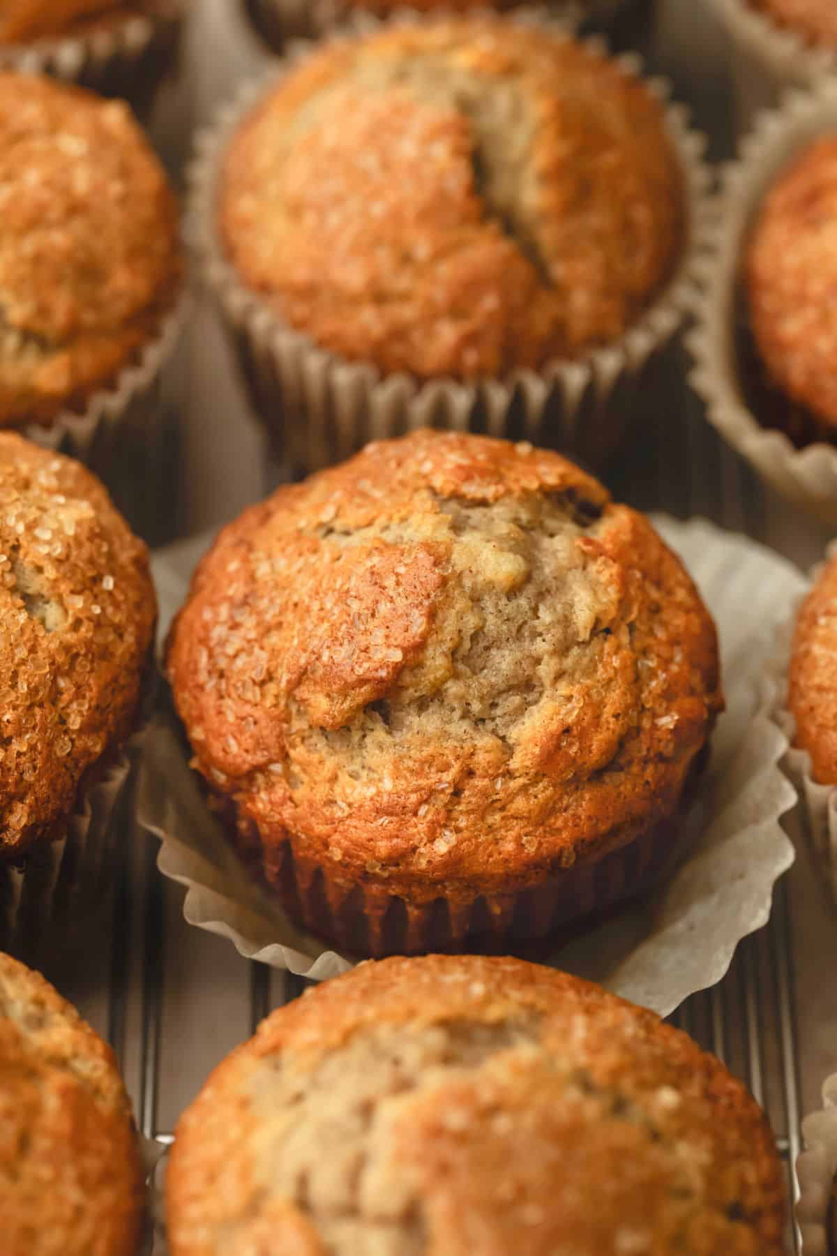 Rows of maple banana muffins on a piece of brown parchment paper.