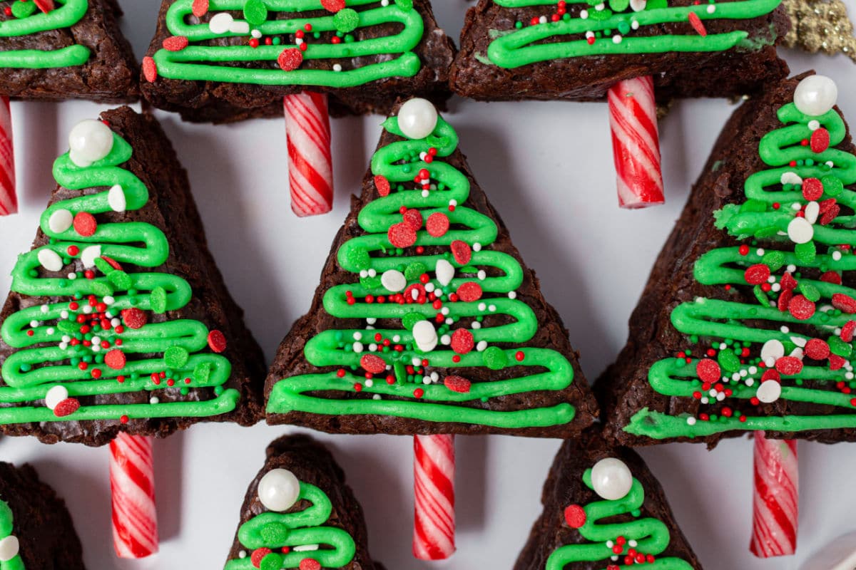 A row of Christmas tree brownies.