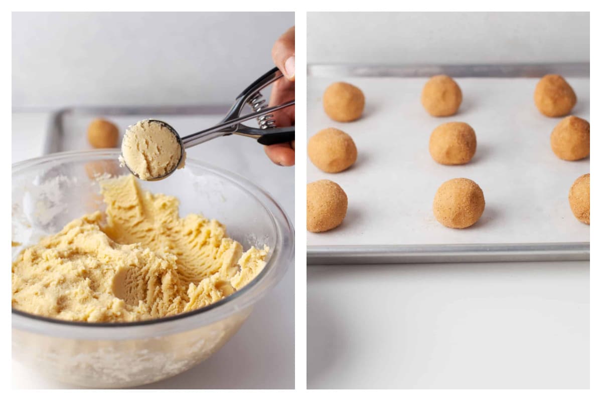A cookie scoop holding a scoop of snickerdoodle dough next to dough rolled in cinnamon sugar on a baking sheet.
