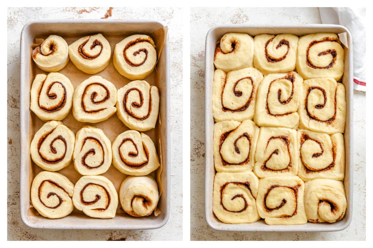 Unrisen and risen potato cinnamon rolls in a pan.