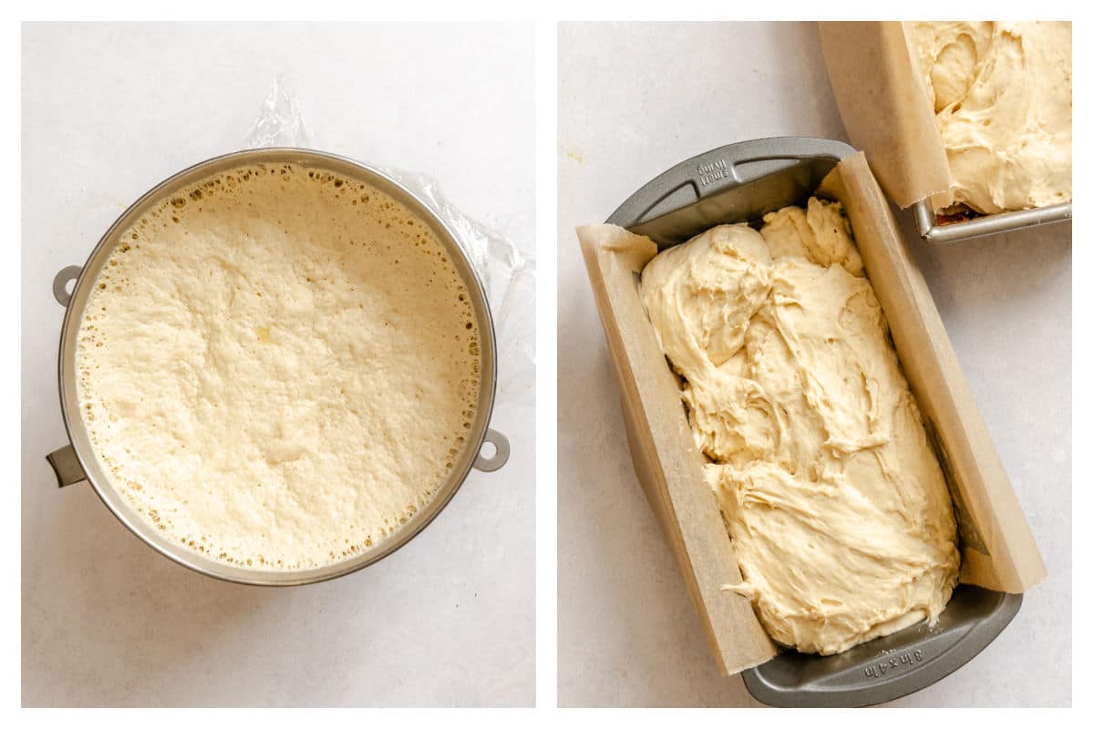 Risen English muffin bread batter in a bowl and in bread pans. 