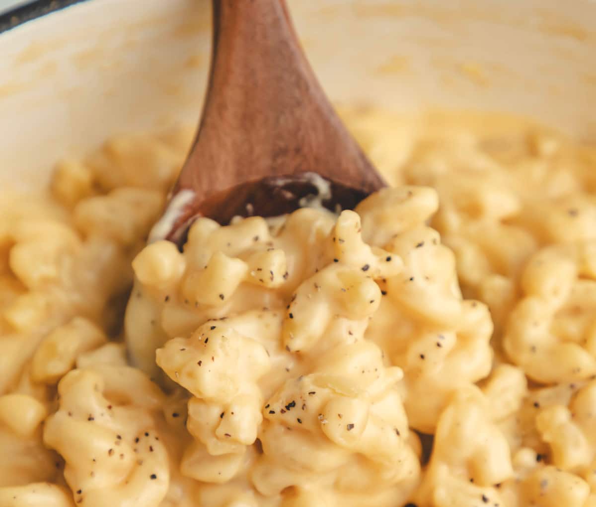 A wooden spoon holding a scoop of homemade mac and cheese. 