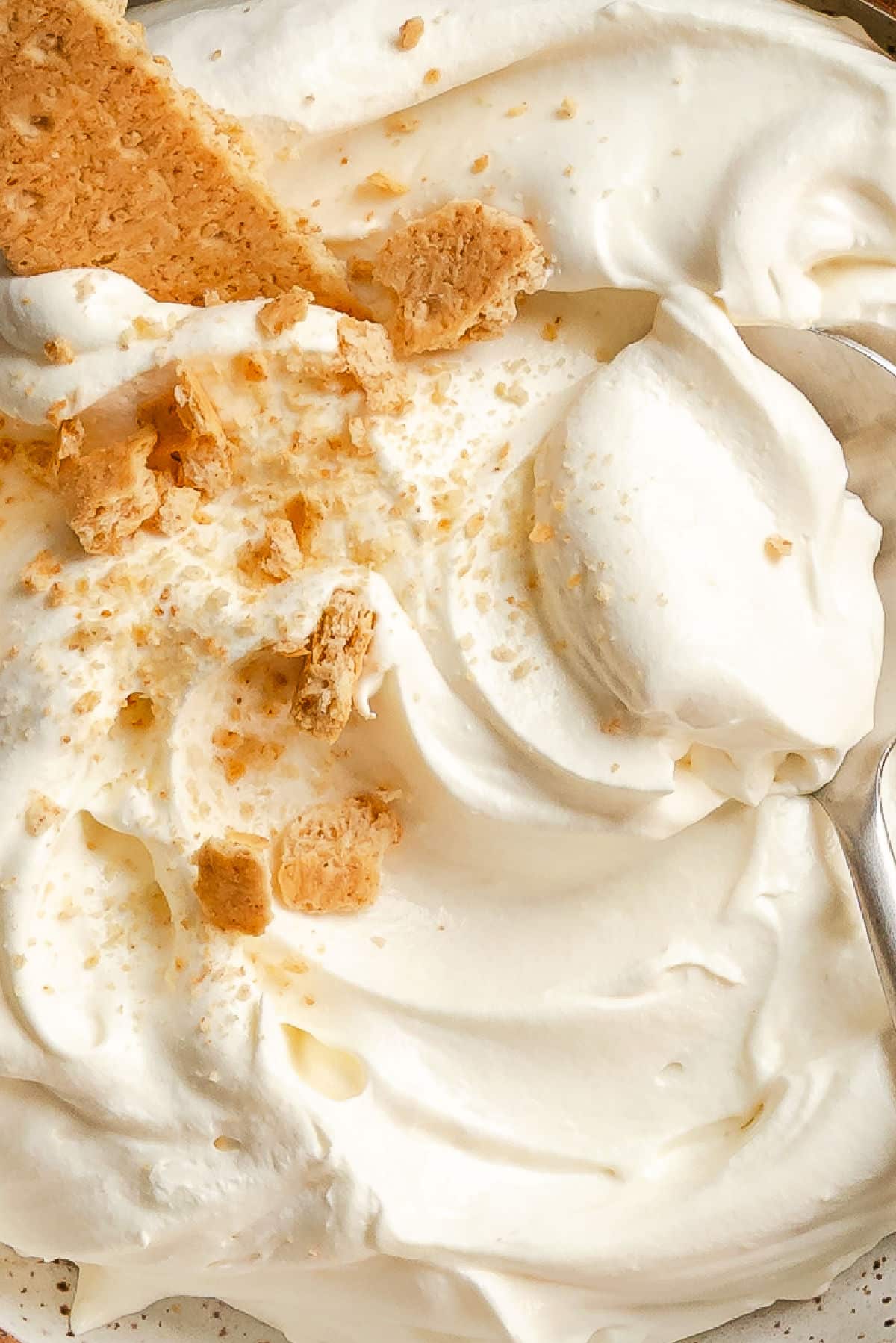 Close up photo of cheesecake dip topped with graham cracker crumbs.