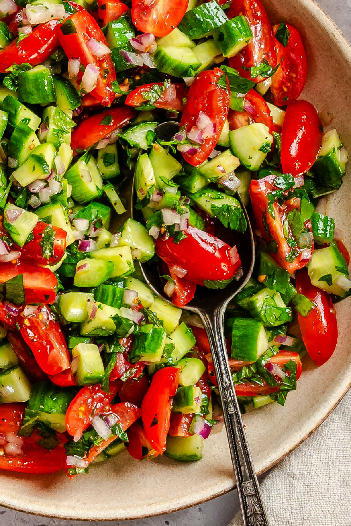 Closeup of a bowl of shirazi salad with a silver spoon in it.