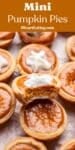 mini pumpkin pie pin
